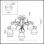 Потолочная люстра Odeon Light Kaena 2120/5C