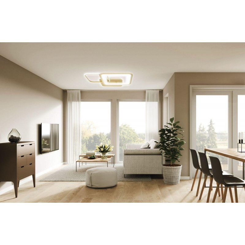 Потолочная светодиодная люстра Escada 10246/2LED