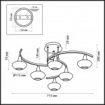 Потолочная люстра Odeon Light Valle 2054/6