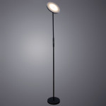 Торшер Arte Lamp Sceptrum A1822PN-1BK