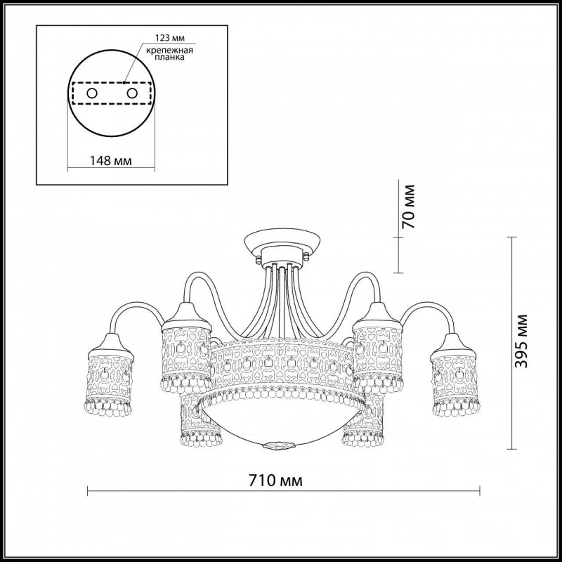 Потолочная люстра Odeon Light Salona 2641/9C